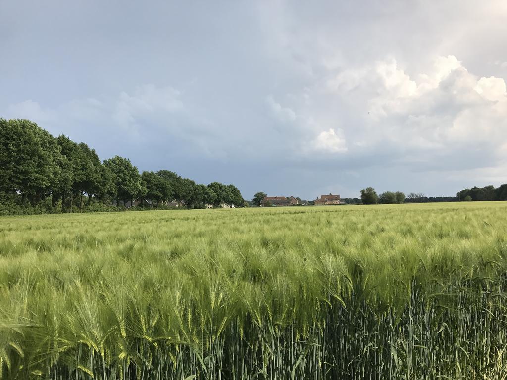 Appartementen De Zegelskoël Heijenrath Buitenkant foto